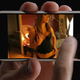 Illustration for article titled Apples Trying to Boot Hardcore Porn Sites from iPhone Domains